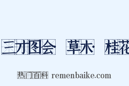 三才图会·草木·桂花是什么意思的图片